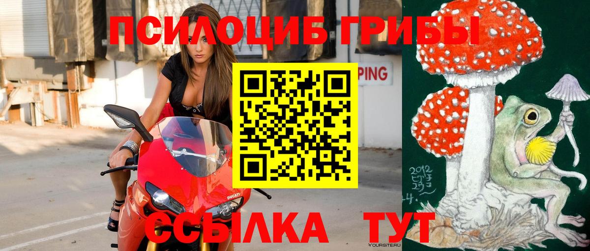 Сосновый Бор  Галлюциногенные грибы Psilocybine cubensis  Вход с VPN 