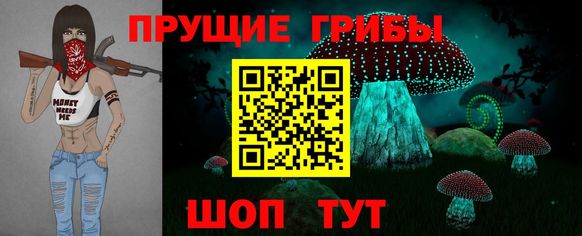 Галлюциногенные грибы Psilocybine cubensis Сосновый Бор